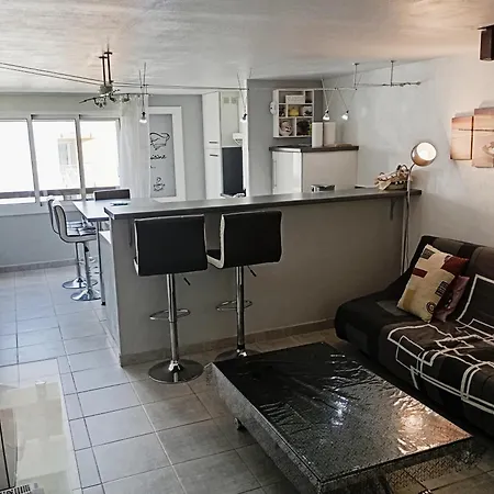Grand Proche Port Et Plages, 6 A 8 Pers, 3 Chambres, Climatise Agde