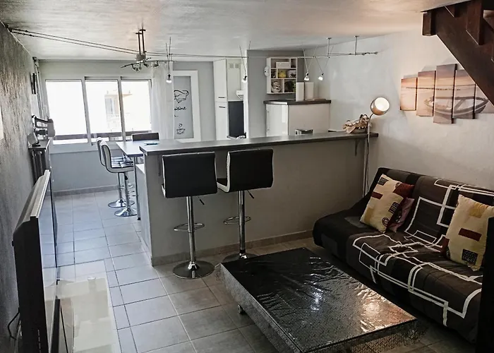 Grand Proche Port Et Plages, 6 A 8 Pers, 3 Chambres, Climatise Agde